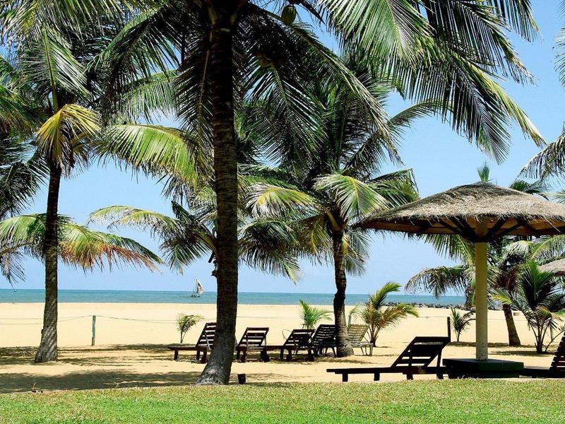 Beach with palm trees, lounge chairs, and sun umbrellas under clear sky