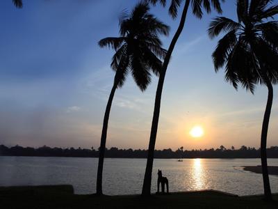 Sonnenuntergang am See mit Palmen im Vordergrund und einer Person am Wasser