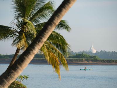 Blick auf Wasser mit Palmen im Vordergrund und einem kleinen Boot davor.