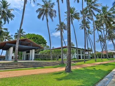 Moderner Bungalow mit großen Fenstern, umgeben von hohen Palmen und grünem Rasen unter blauem Himmel.