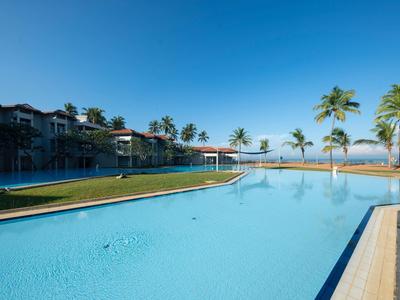 Large outdoor pool with palm trees and ocean view under clear sky