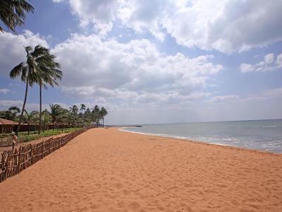 Wide sandy beach with palm trees and blue sky at a calm coastal area.