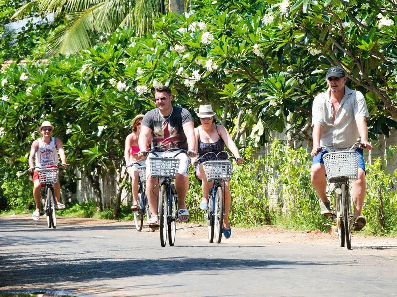 Group of five cyclists riding on tree-lined path in sunny weather.