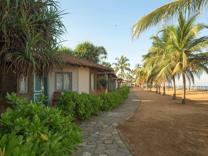 Path runs alongside bungalows and palm trees by the beach under clear sky.