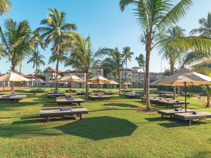 Beach loungers under palm trees with sunshades on a green lawn at a resort.