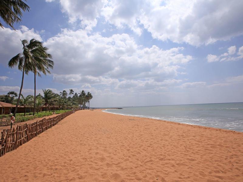 Wide sandy beach with palm trees and blue sky at a calm coastal area.