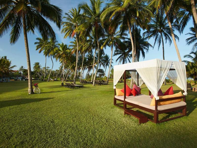 Gezellig bed met witte gordijnen op een groen gazon onder palmbomen.