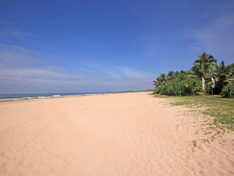 Uitgestrekt zandstrand met palmbomen onder een blauwe hemel aan zee.