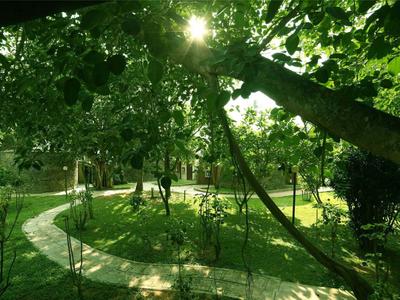Grüner Parkweg mit Bäumen und Sonnenlicht, ideal für entspannte Hotelausflüge.