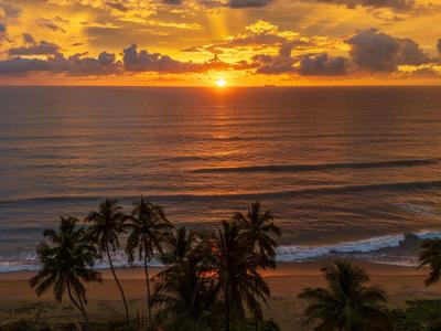 Sonnenuntergang über Meer mit Palmen am Strand und orangefarbenem Himmel.