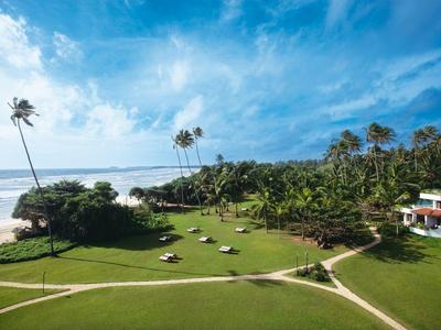 Pelouse verte avec transats à côté des palmiers et plage sous ciel bleu
