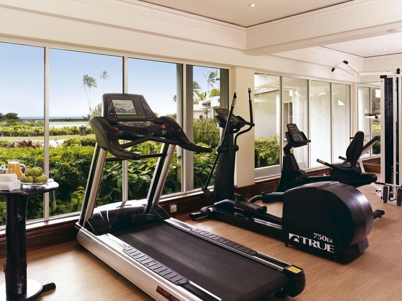 Salle de sport moderne avec tapis roulant et appareils Cybex devant de grandes fenêtres avec vue sur paysage vert.