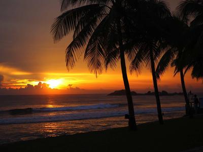 Atardecer en la playa con palmeras y mar tranquilo de fondo.