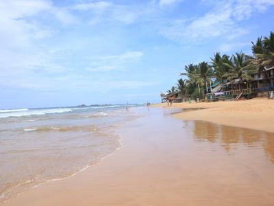 Amplia playa de arena con palmeras y casas a la derecha bajo un cielo azul.