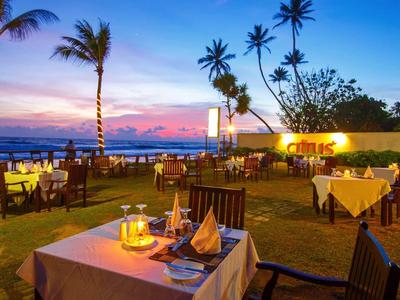 Cena al aire libre con vistas a palmeras y un cielo colorido junto al mar.