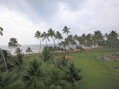 Groen grasveld met palmbomen en uitzicht op de zee onder een bewolkte lucht.