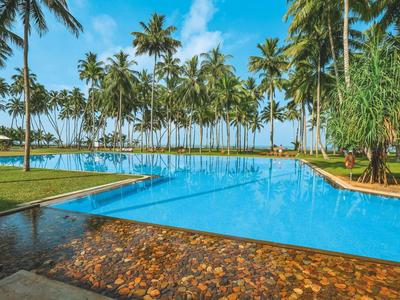 Groot blauw zwembad omgeven door palmbomen en groen gras onder een heldere hemel.