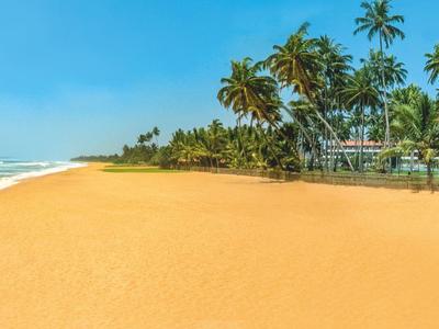 Uitgestrekt, leeg zandstrand met palmbomen onder een blauwe hemel aan zee.