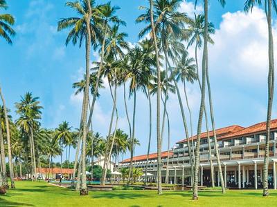 Hotelgebäude mit roten Dächern neben einer Wiese mit hohen Palmen unter blauem Himmel.