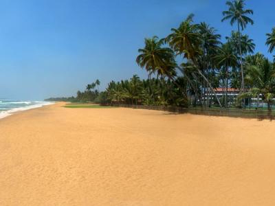 Breiter, leerer Sandstrand mit Palmen und ruhigem Meer unter blauem Himmel.