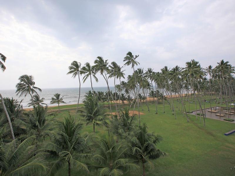 Groen grasveld met palmbomen en uitzicht op de zee onder een bewolkte lucht.