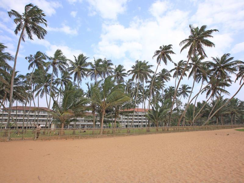 Zandstrand met hoge palmbomen en gebouwen op de achtergrond onder een blauwe lucht.
