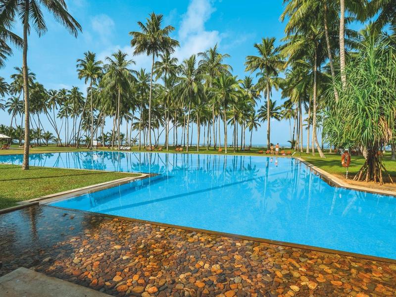 Groot blauw zwembad omgeven door palmbomen en groen gras onder een heldere hemel.