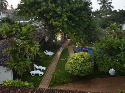 Garten mit grünen Büschen, Bäumen, Liegestühlen und einem gepflasterten Weg zwischen Gebäuden.