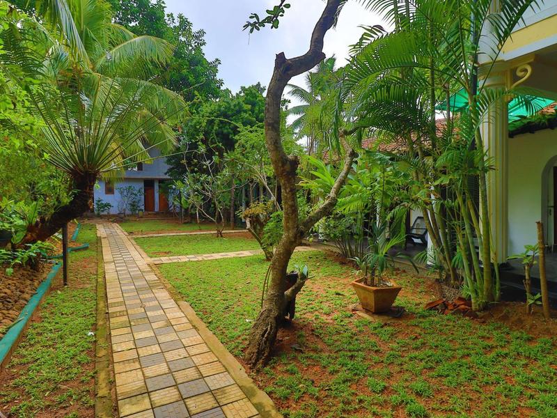 Ein gepflegter Garten mit grünem Gras, Palmen und einem gepflasterten Weg zwischen Gebäuden.