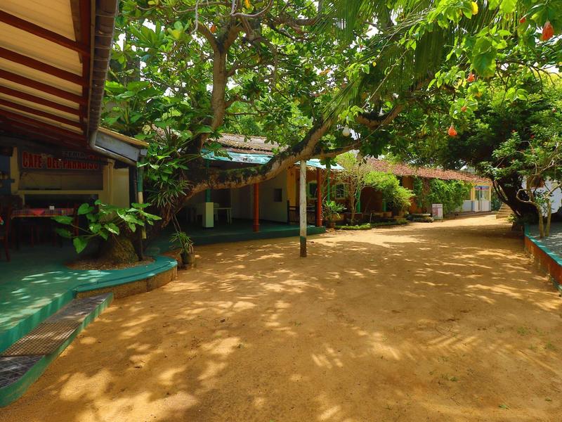 Breiter Sandweg neben Holzhäusern, umgeben von grünen Bäumen und Pflanzen im sonnigen Ambiente.