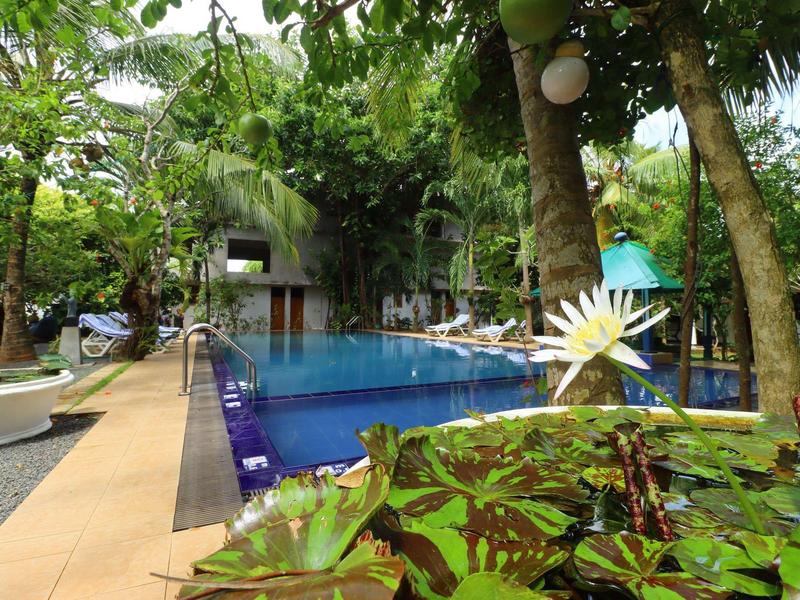 Schwimmbecken mit blauem Wasser, umgeben von Bäumen und Pflanzen, sonniger Gartenbereich.