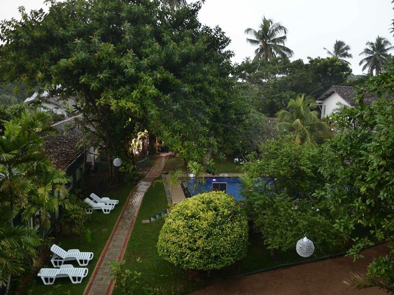 Grüner Garten mit Bäumen, Busch, Swimmingpool und weißen Liegestühlen entlang eines gepflasterten Wegs.