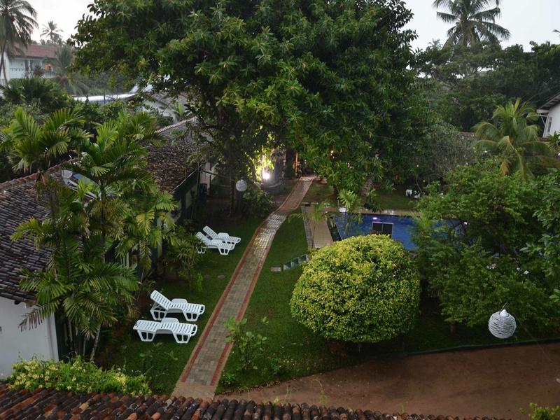 Garten mit grünen Büschen, Bäumen, Liegestühlen und einem gepflasterten Weg zwischen Gebäuden.