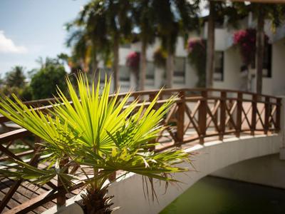 Close-up of a green plant in front of a hotel with balcony and wooden bridge.