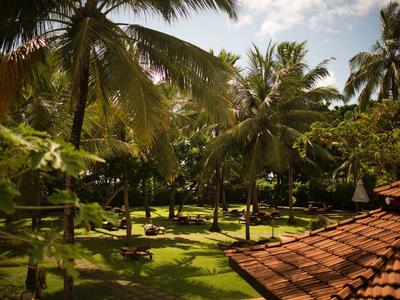 View of a tropical garden with palm trees and lawn under a blue sky