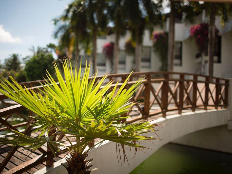 Close-up of a green plant in front of a hotel with balcony and wooden bridge.