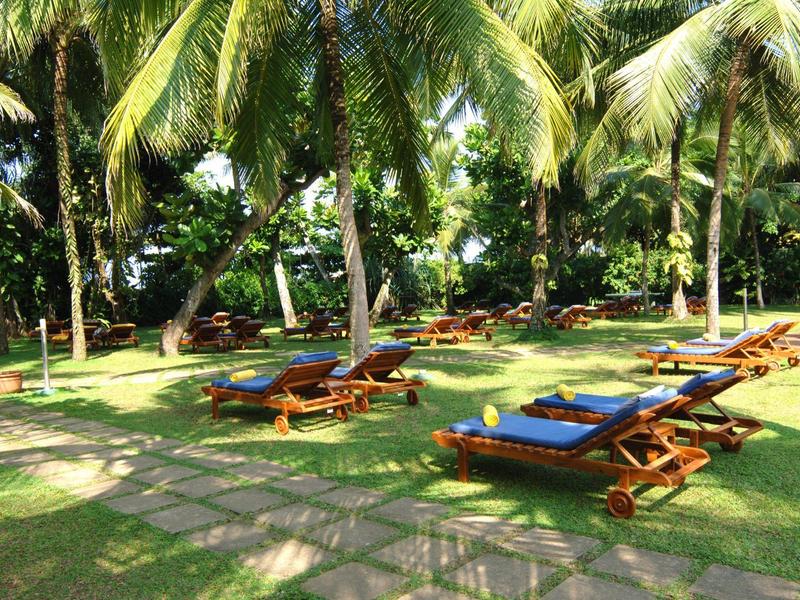 Sun loungers under palm trees on a green lawn in the hotel garden.