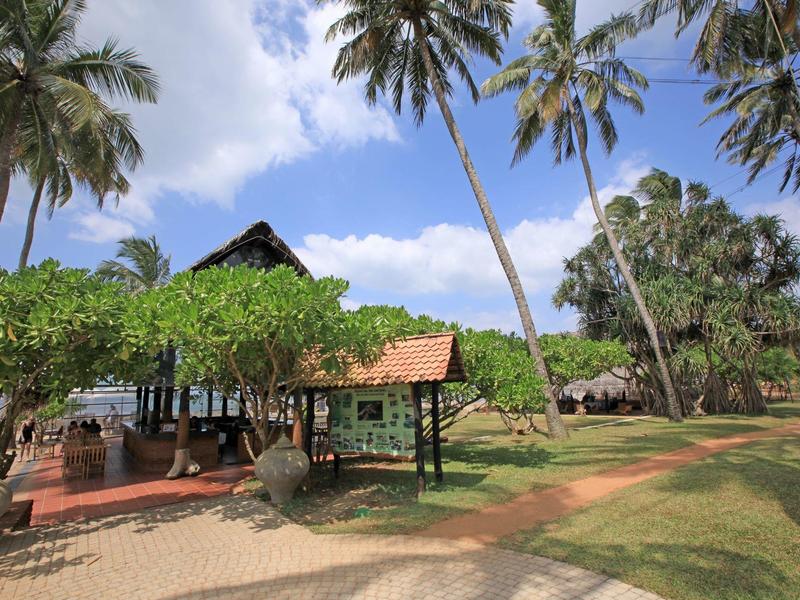 Open tropisch resort met palmbomen, lagune en rieten hutten onder blauwe hemel.