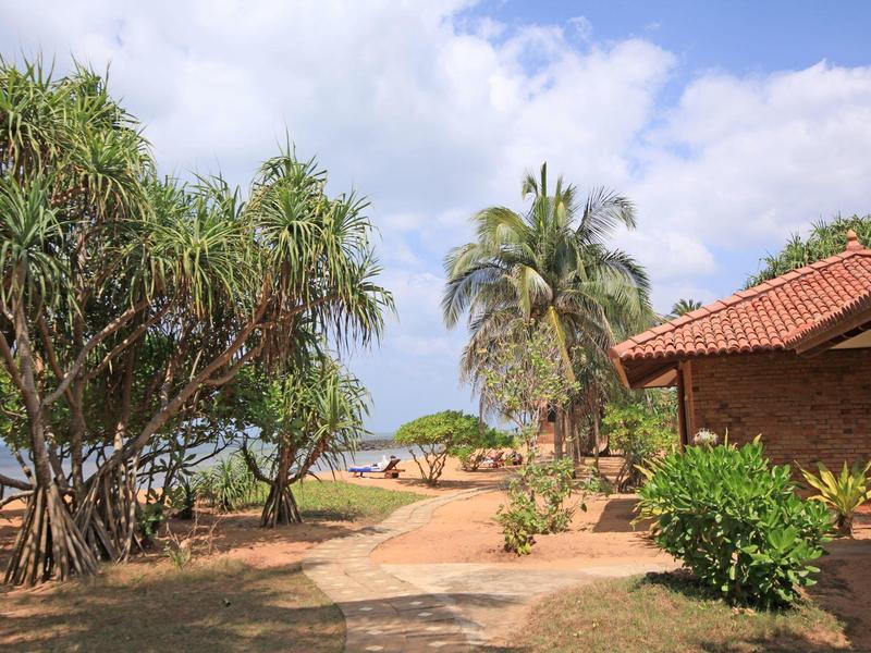 Een tropische tuin met palmbomen en een gebouw met een rood dak langs een zonnig strandpad.