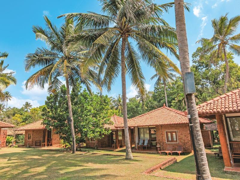 Gezellige bungalows met rode daken in een tropische tuin met palmbomen.