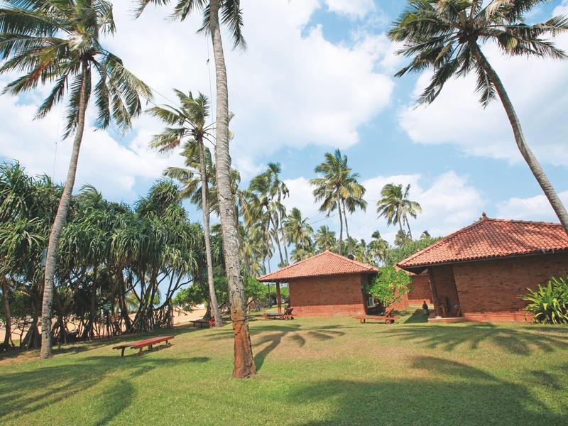 Groen tuingebied met palmbomen en kleine houten hutten onder een blauwe lucht.