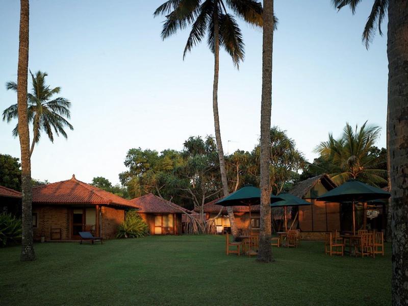 Houten steiger met bootsteiger aan kalm meer omgeven door weelderig groen.