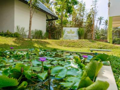 Un estanque con lirios de agua verdes y flores moradas frente a un edificio hotelero en un entorno tropical.
