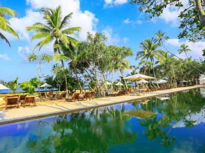 Vista di una piscina con lettini e palme sotto un cielo blu.
