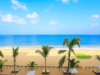 Spiaggia con sabbia, palme e vista sul mare blu calmo sotto un cielo azzurro.