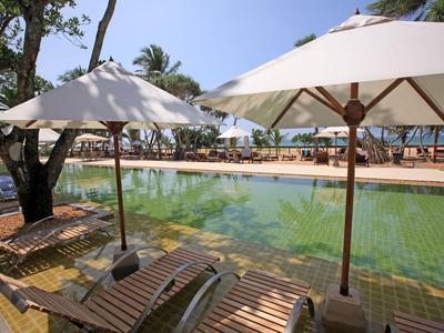 Area piscina con acqua verde, ombrelloni e lettini accanto a palme tropicali.