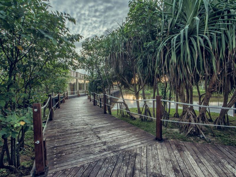 Houten wandelpad loopt door dicht groen met tropische planten naast de weg