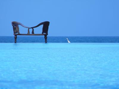 Empty chair at the edge of a pool overlooking the sea under a clear blue sky.