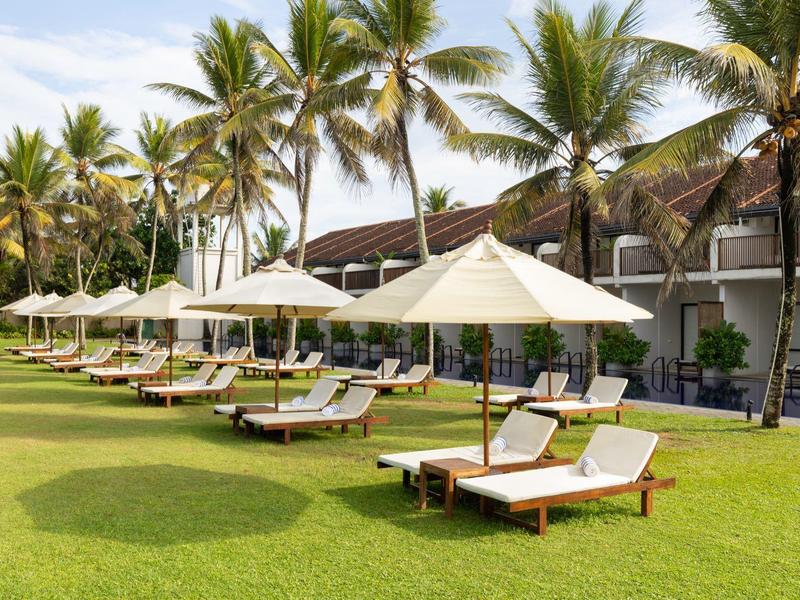 Fila di lettini con ombrelloni su prato verde davanti a un hotel tropicale.