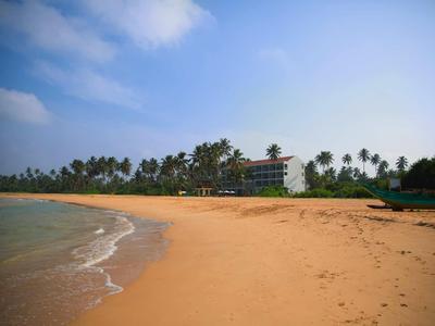Spokojna piaszczysta plaża z palmami i hotelem w tle pod błękitnym niebem.